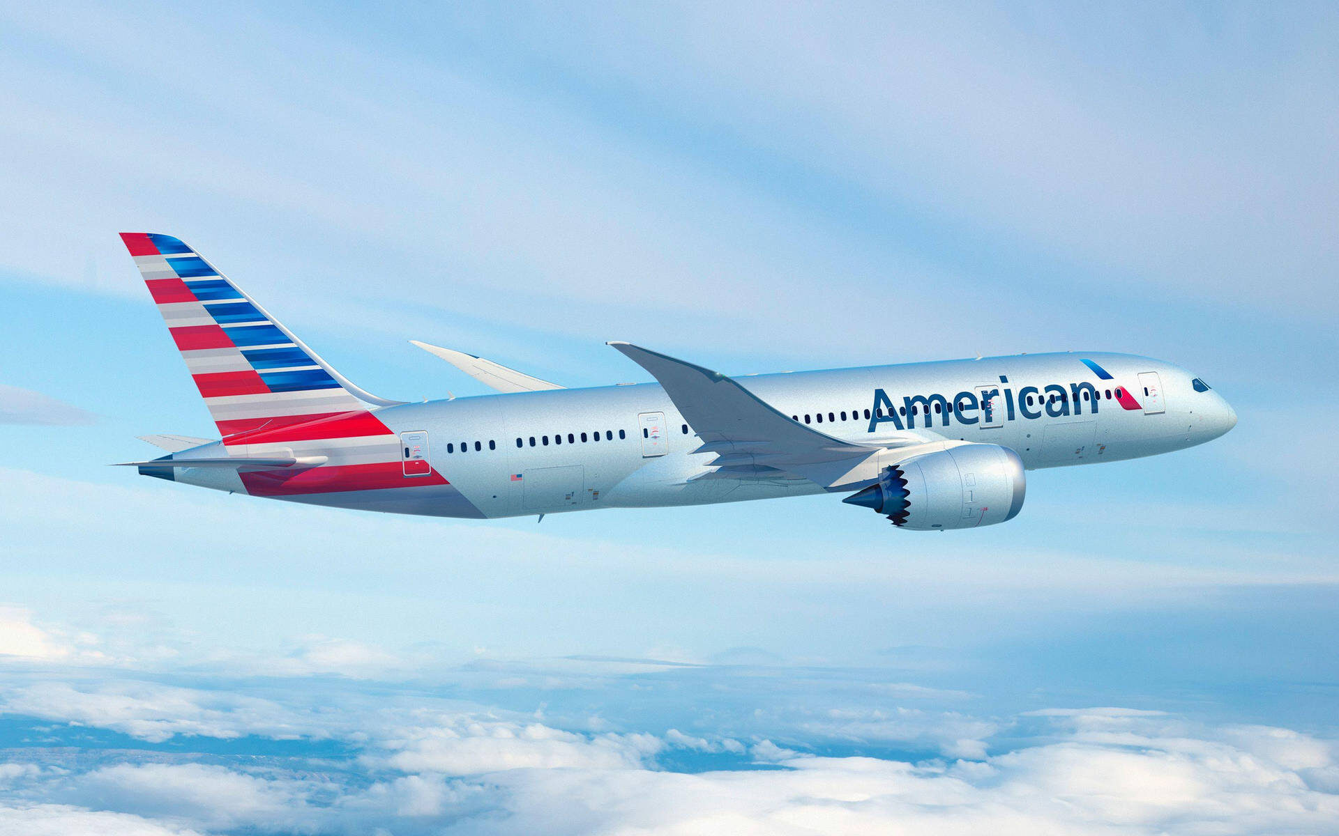 American Airline in flight - race discrimination lawsuit.